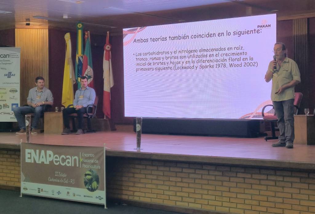 Mudanças climáticas desafiam produtores e impulsionam novas estratégias na nogueira-pecã