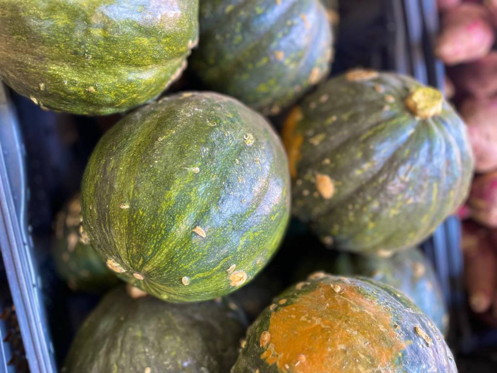 Queda nos preços: abóbora e pepino lideram reduções na CEASA/MS  