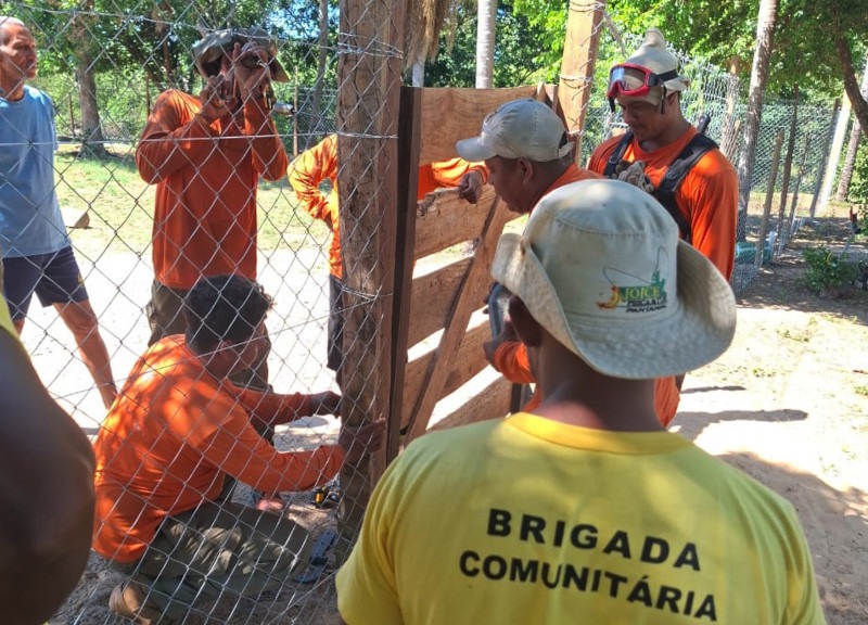 Escolas rurais no Pantanal têm cercamento no entorno para prevenção e educação ambiental