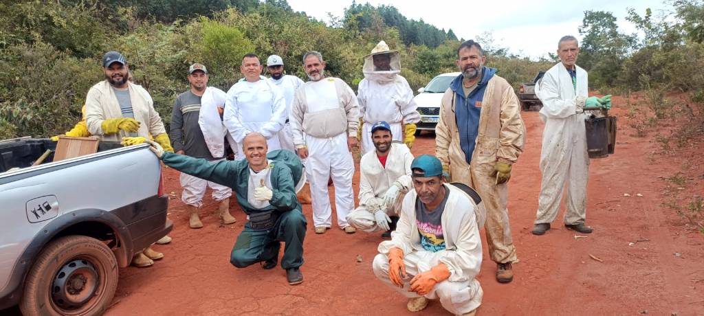 Apicultura se torna alternativa de renda no Alto do Jequitinhonha  