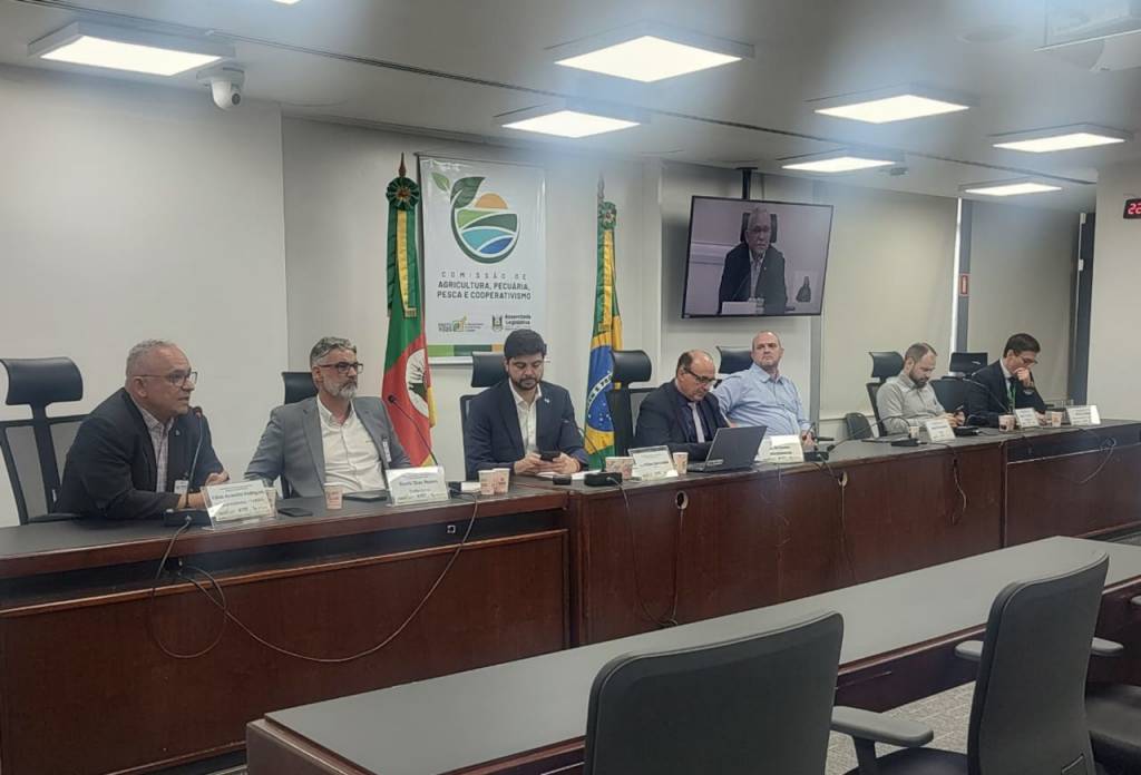 Audiência aponta uso da CDO como subvenção para enfrentar crise do arroz