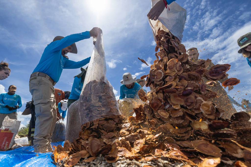 Instituto Taquari Vivo inicia semeadura de espécies nativas no Cerrado, mirando na proteção do Pantanal
