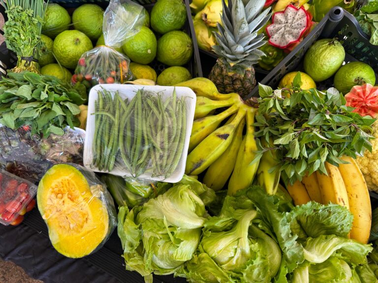 Governo de Goiás destina R$ 30 milhões a agricultores familiares pelo PAA Goiás 2025