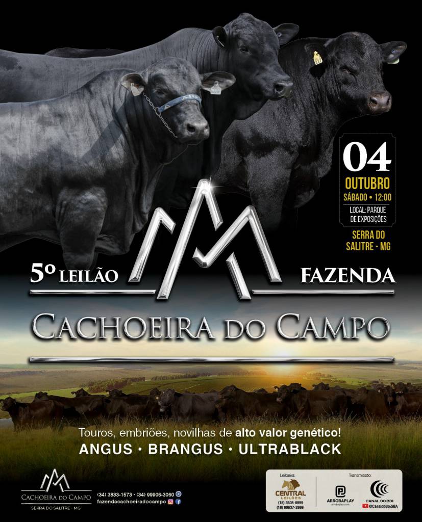 5º Leilão Fazenda Cachoeira do Campo hoje às 12h no Canal do Boi 