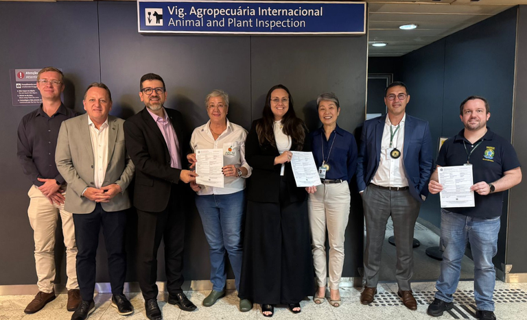 Pela primeira vez, Mapa emite certificado atestando qualidade de citros para mercado europeu