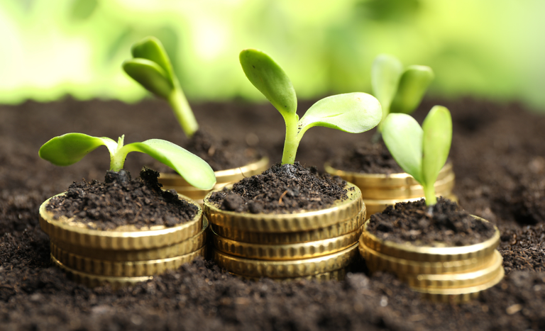 Mapa estabelece metodologia para avaliar perdas de rendimento agrícola de municípios atingidos por intempéries climáticas