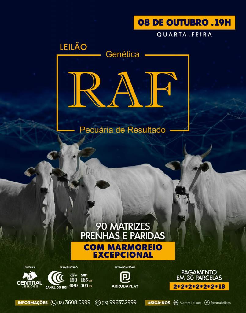 Leilão Genética RAF hoje às 19h no Canal do Boi