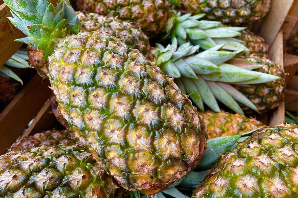 Airton transformou abacaxi em negócio que faz sucesso há 25 anos na Ceasa/MS