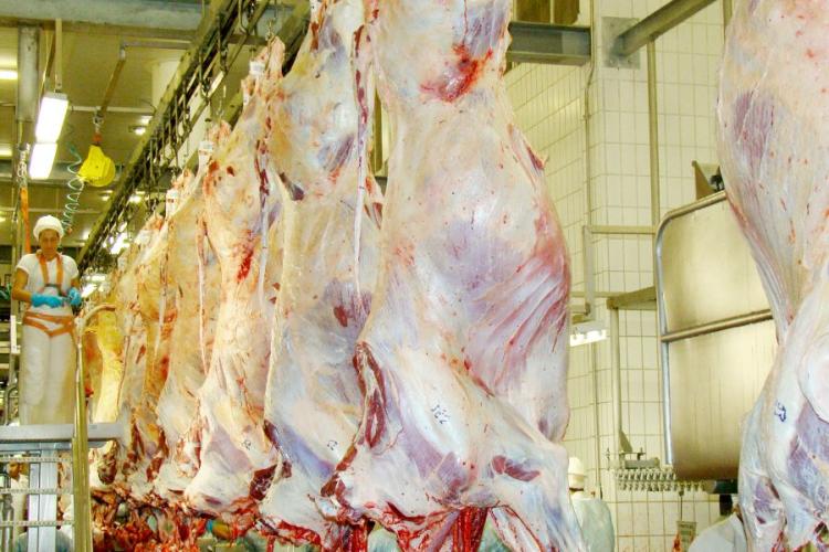 Mesmo com queda nas exportações para os EUA, produtos de MS mantêm ritmo de crescimento no mercado internacional