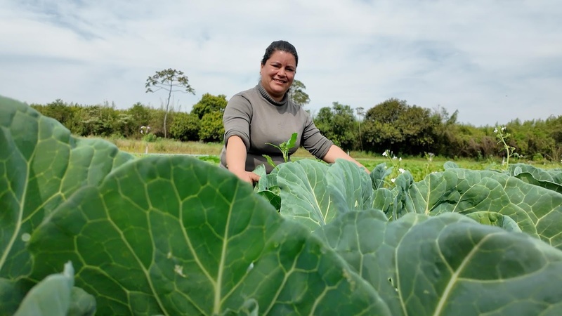 São Paulo se aproxima de mil mulheres beneficiadas com crédito rural exclusivo para produtoras