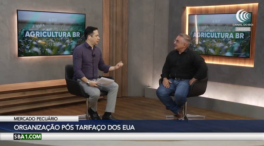 Organização do mercado pecuário pós tarifaço de Trump