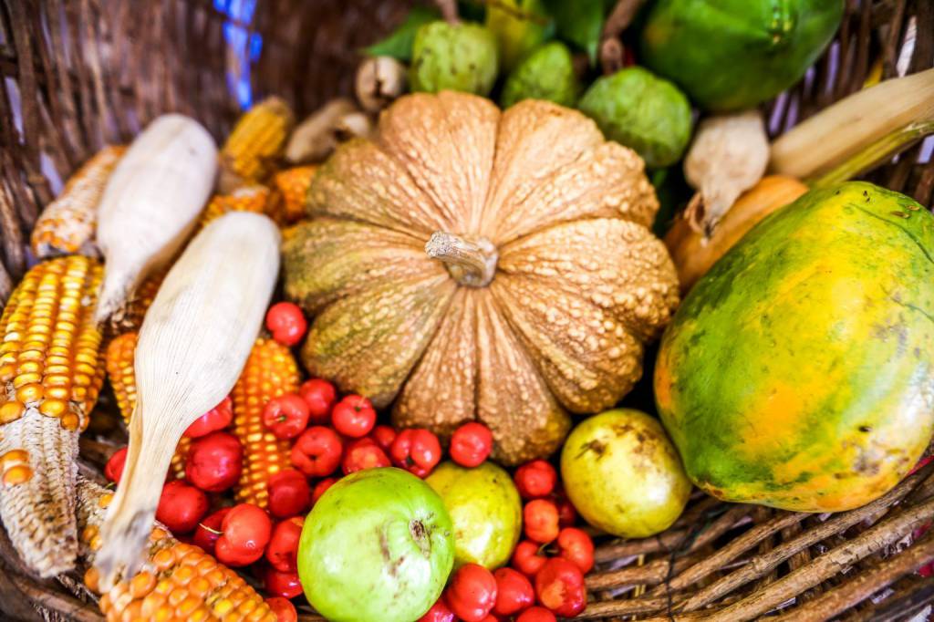 Apoio às comunidades indígenas: distribuição de alimentos beneficia quase 6 mil famílias em Mato Grosso do Sul