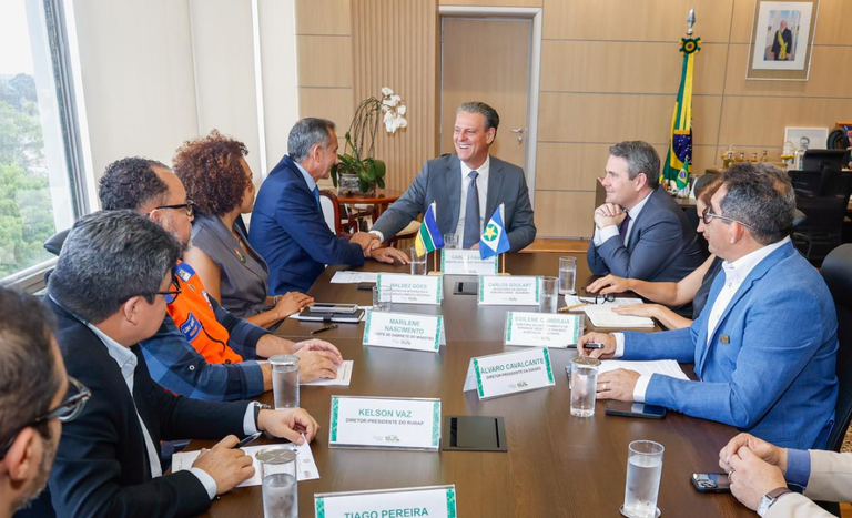 Mapa e MDR articulam ações emergenciais no Amapá para produtores afetados pela vassoura-de-bruxa da mandioca