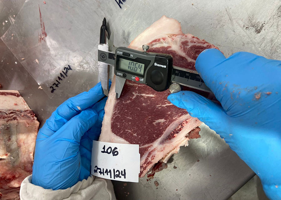 Pesquisa usa tecnologia de ponta para definir a “impressão digital” da carne gaúcha
