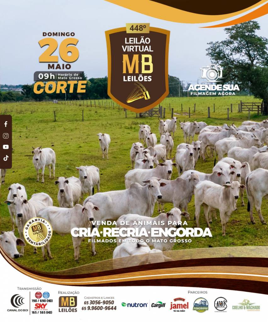 448° Leilão Virtual MB Leilões neste domingo no Canal do Boi