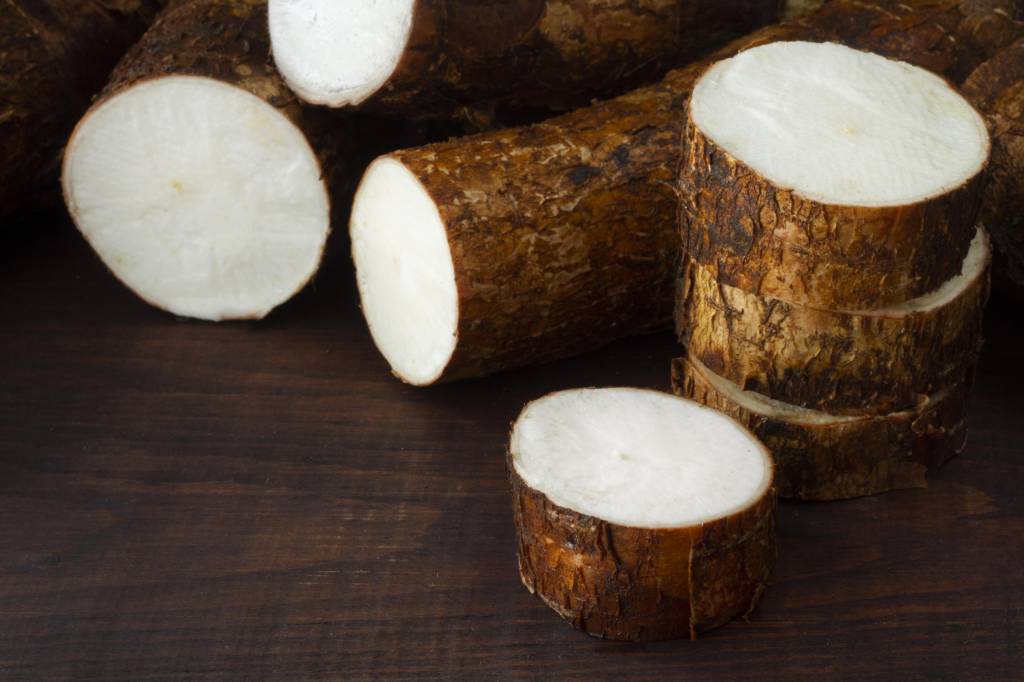 Oferta limitada de mandioca sustenta cotações e reduz esmagamento 
