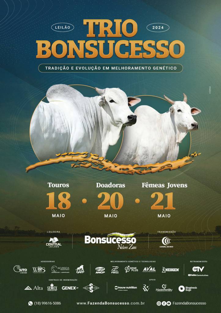 Leilão Virtual Trio Bonsucesso - Etapa Touros hoje às 14h no Canal do Boi