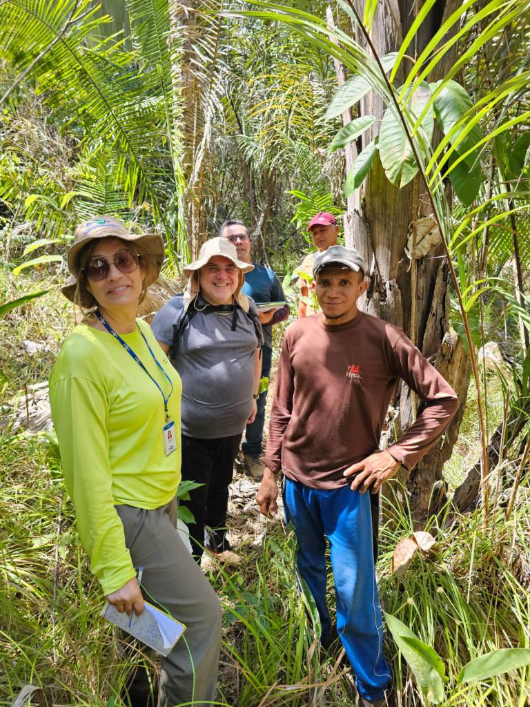 Embrapa mapeia serviços ambientais de assentamento em área de babaçu no Maranhão
