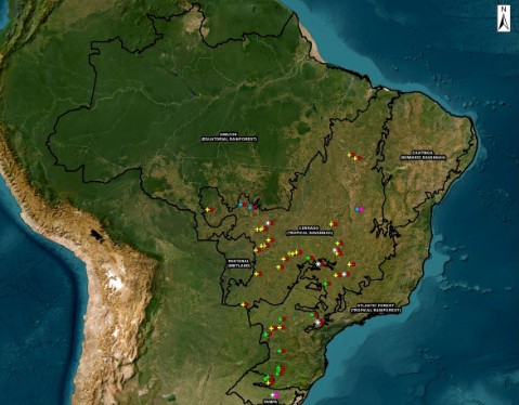 Modelos que estimam a densidade do solo reduzem custo para monitorar o estoque de carbono no solo em áreas de grãos