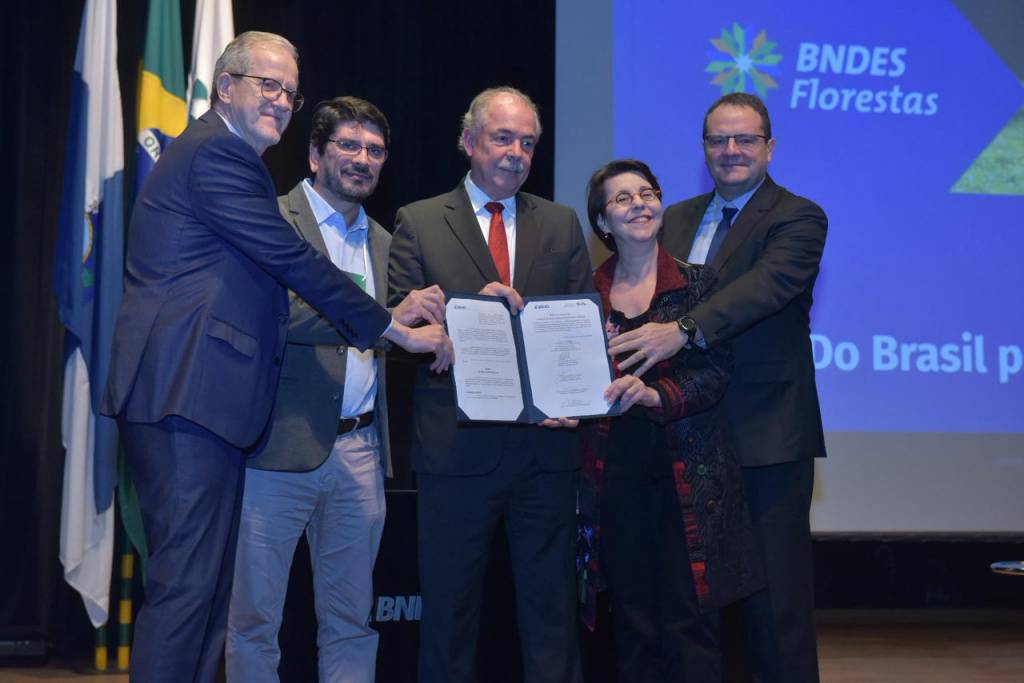 BNDES aprova R$ 100 mi a 1º projeto de restauração produtiva em larga escala de áreas degradadas da BA, PA, RO e MT