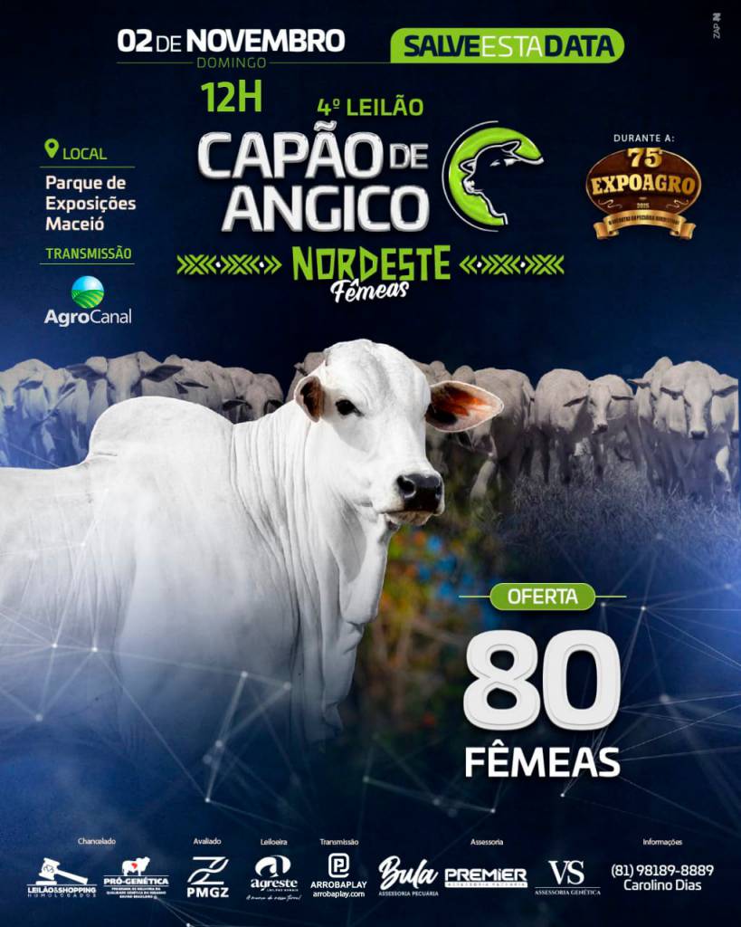 4º Leilão Capão de Angico Nordeste Fêmeas hoje às 12h no Agro Canal