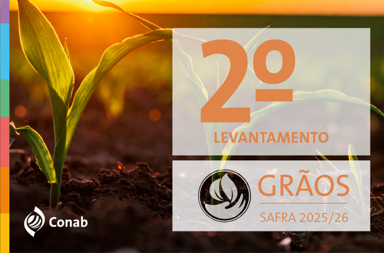 Produção de grãos é estimada pela Conab em 354,8 milhões de toneladas na safra 2025/26