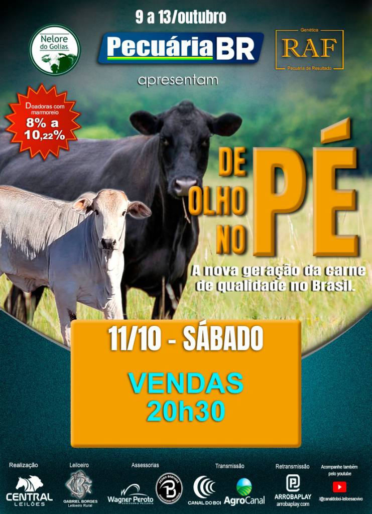 De Olho no Pé Pecuária BR oferta receptoras paridas com bezerros ao pé de alta qualidade genética