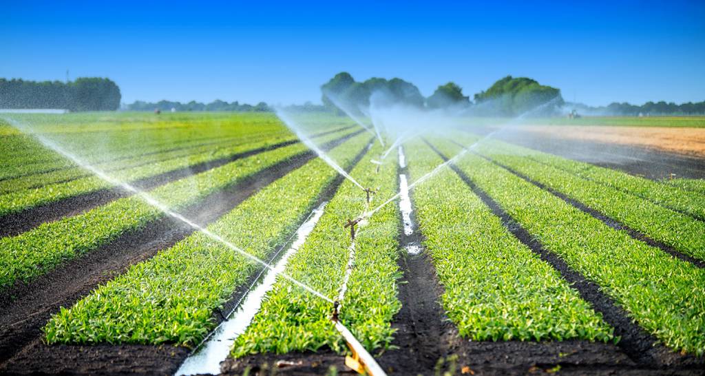IA revoluciona irrigação: Sensor inovador promete redução no consumo de água 