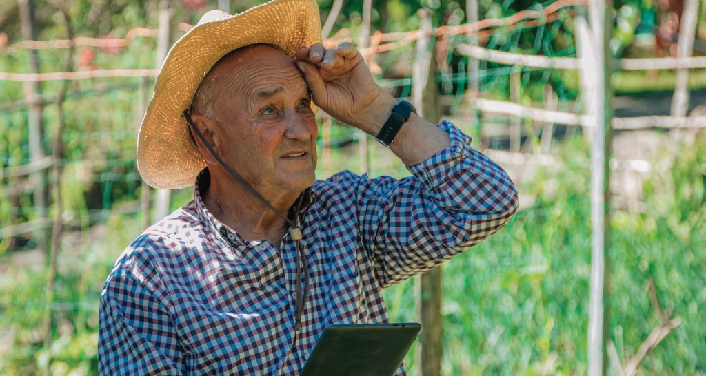 Faesp aponta cenário de cautela e custos elevados para a safra 2025/26 no Estado de São Paulo