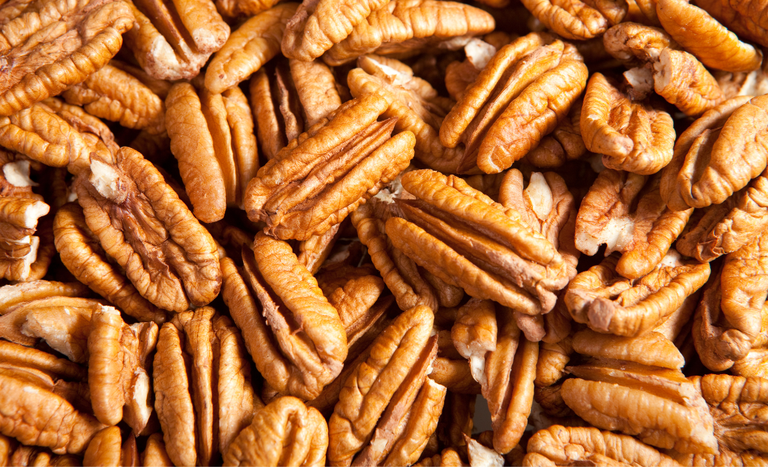 Aberturas de mercado para o Brasil na Malásia e na República da Coreia