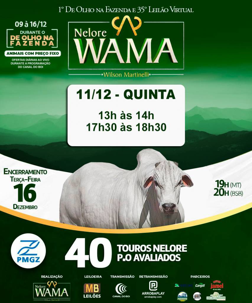 De Olho na Fazenda Nelore Wama oferta touros nelore a preço fixo no Canal do Boi