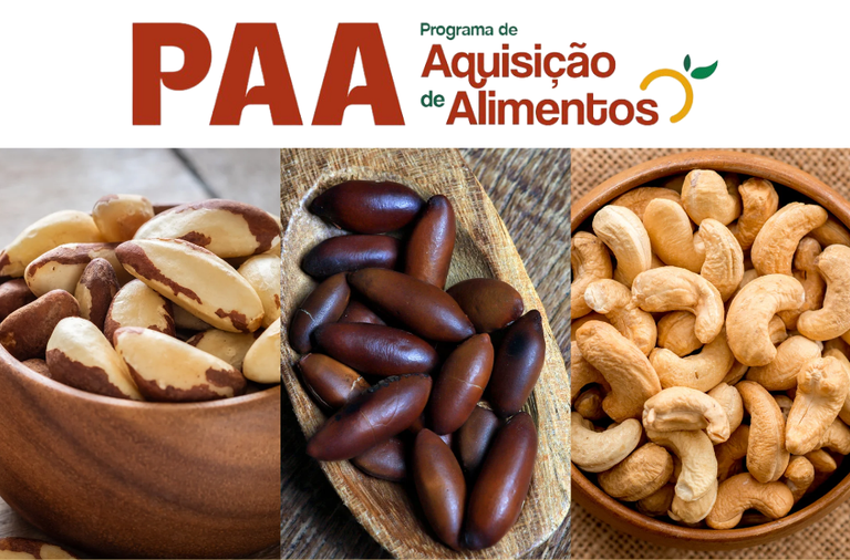 Apoio emergencial fortalece formação de estoques do PAA para mel e castanhas