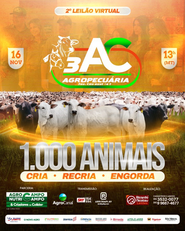 2º Leilão Virtual 3AC Agropecuária hoje no Agro Canal
