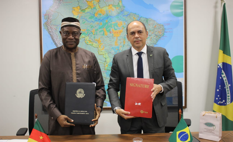 Brasil e Camarões assinam acordo bilateral para fomentar avanços e sustentabilidade na produção cacaueira