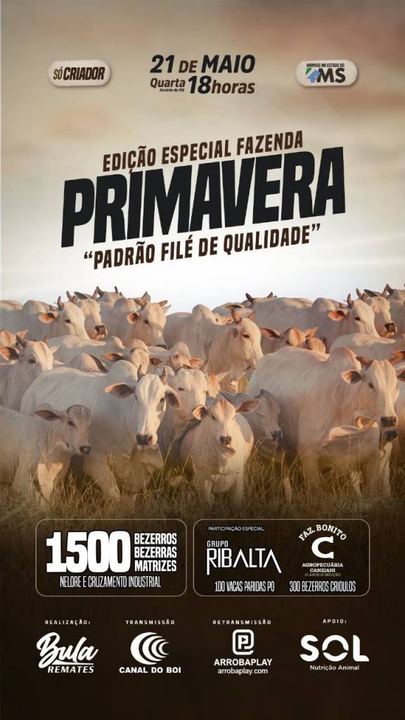 Leilão Só Criador Edição Especial Fazenda Primavera oferta 1.500 animais no Canal do Boi