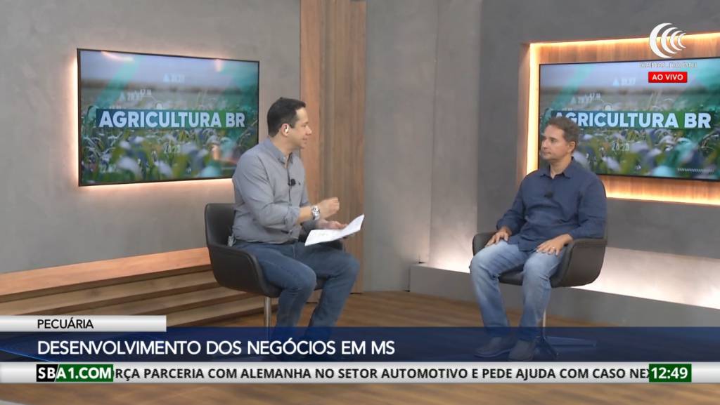 Mercado pecuário fecha 2025 com estabilidade nos preços e desempenho consistente das exportações