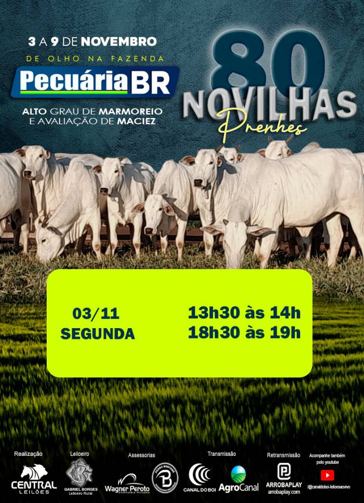De Olho na Fazenda Pecuária BR hoje às 13h30 no Canal do Boi e Agro Canal