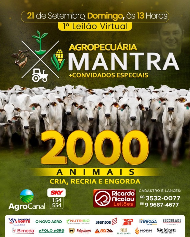 1º Leilão Virtual Agropecuária Mantra + Convidados Especiais hoje no Agro Canal