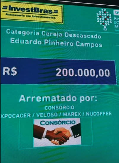 Saca de café do Cerrado Mineiro é arrematada por recorde de R$ 200 mil em leilão