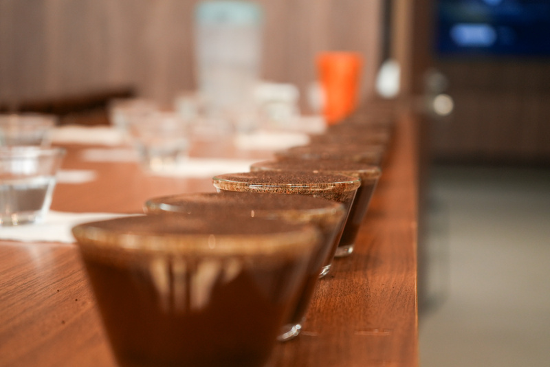 Cooxupé inicia ranking de cafés especiais colhidos na safra 2025