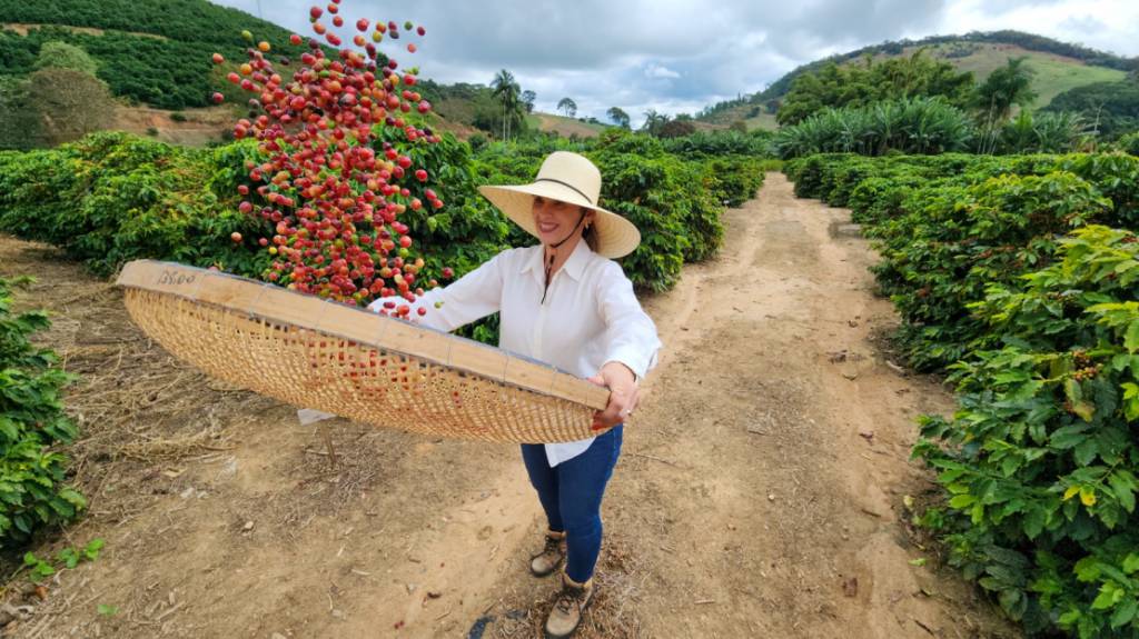 Cafeicultores incluídos no Certifica Minas terão redução de juros em linha do Plano Safra 