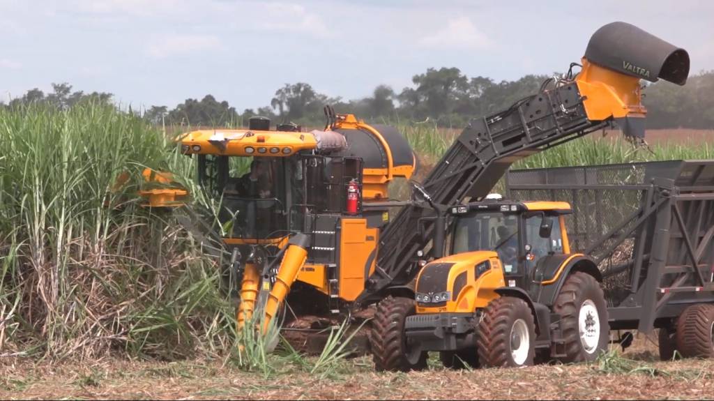Brasil deve atingir recorde na produção de açúcar mesmo com redução na produção de cana-de-açúcar na safra 2024/2025