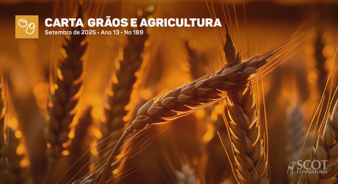 Trigo: oferta argentina ofusca cenário doméstico