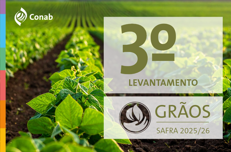 Produção de grãos na safra 2025/26 está estimada em 354,4 milhões de toneladas