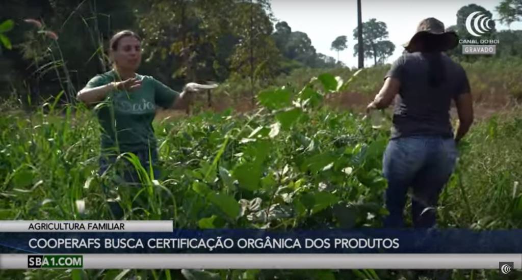 Cooperativa do Mato Grosso busca certificação orgânica dos produtos