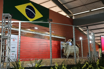 Megaleilão CFM fatura R$ 7,8 milhões