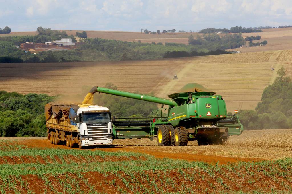 Chuvas do início de novembro provocam adaptações na agricultura paranaense, aponta Deral