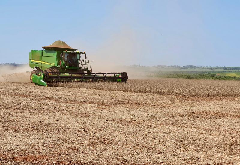 Mato Grosso do Sul: tomada de crédito agrícola cai 53% em outubro