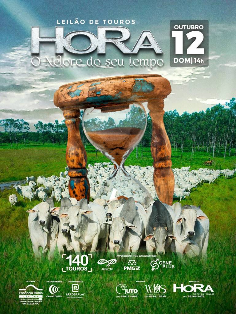 Leilão de Touros Hora hoje às 14h no Canal do Boi 