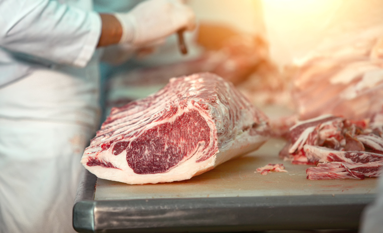 Mapa regulamenta credenciamento de empresas para apoio à inspeção ante mortem e post mortem no SIF